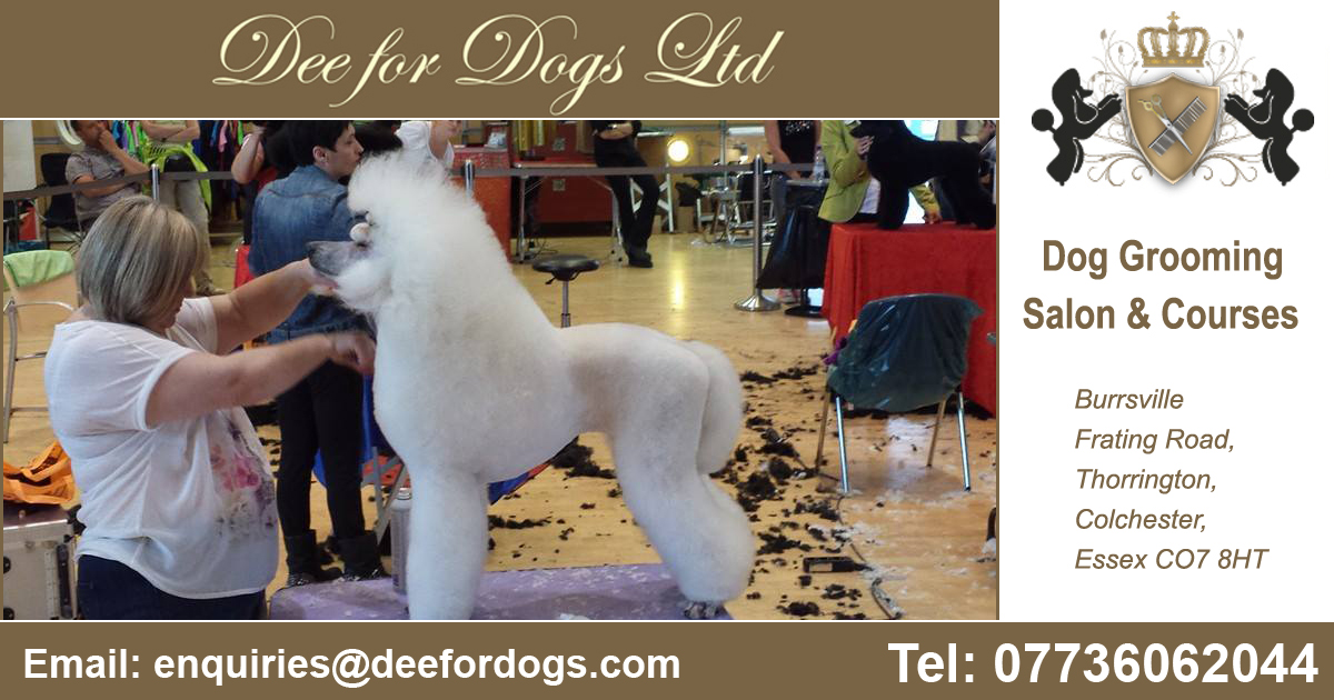 Dog Grooming Courses Clacton & Colchester Dee for Dogs