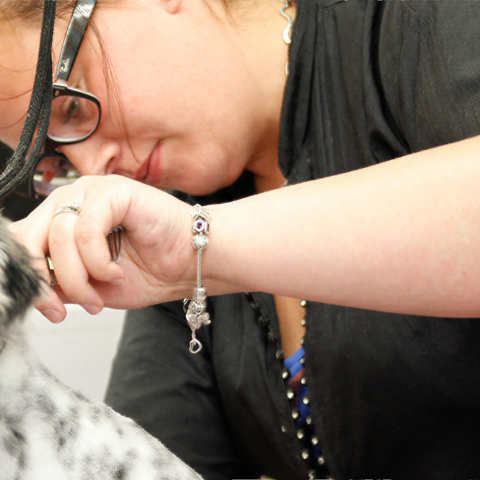 Dog Grooming Slide 3