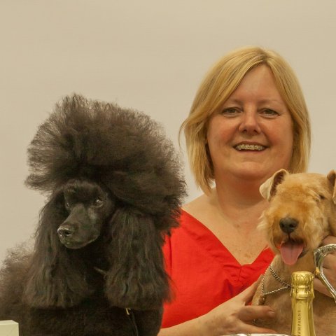 Groomer of the Year 2015