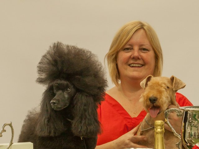 Groomer of the Year 2015